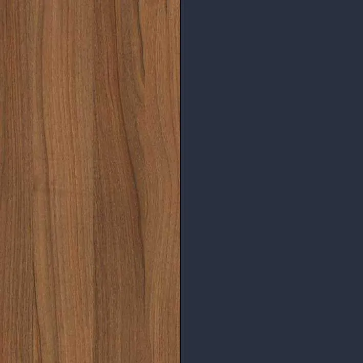 سرمه ای و لیون تیره