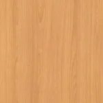لیون روشن