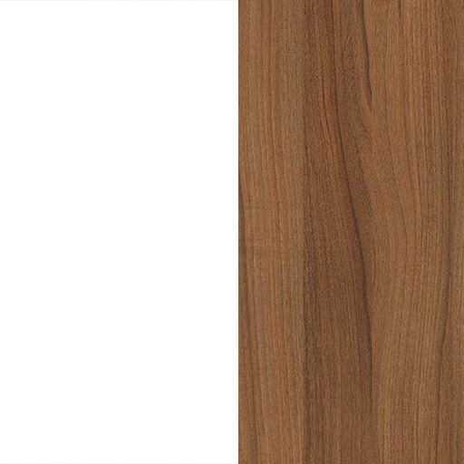 لیون تیره و سفید