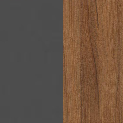 لیون تیره و طوسی