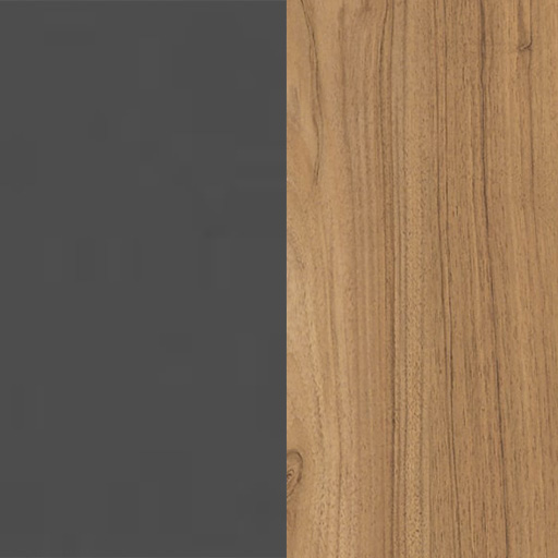 لیون روشن و طوسی